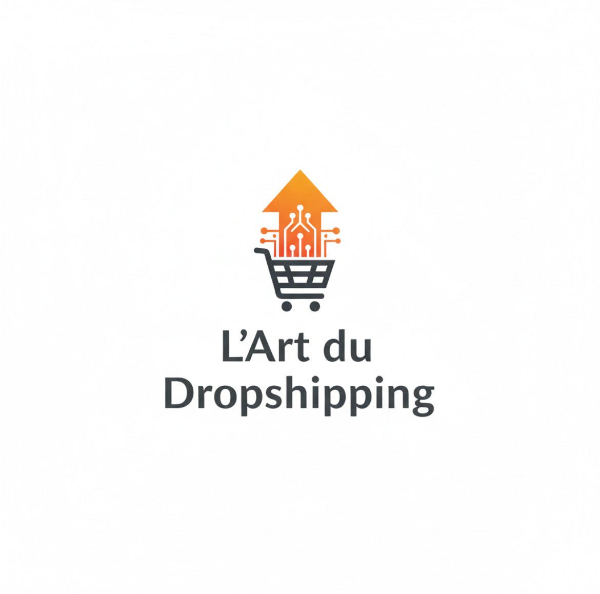 Guide Complet des Bases du Dropshipping